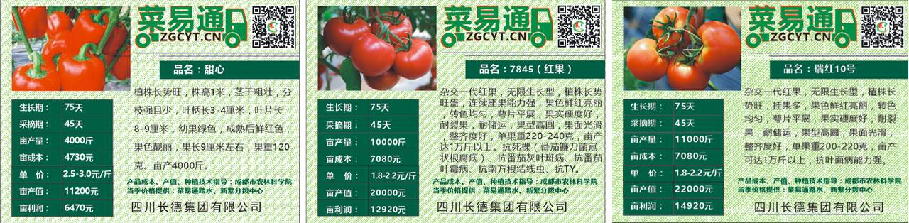 長德投資集團(tuán)